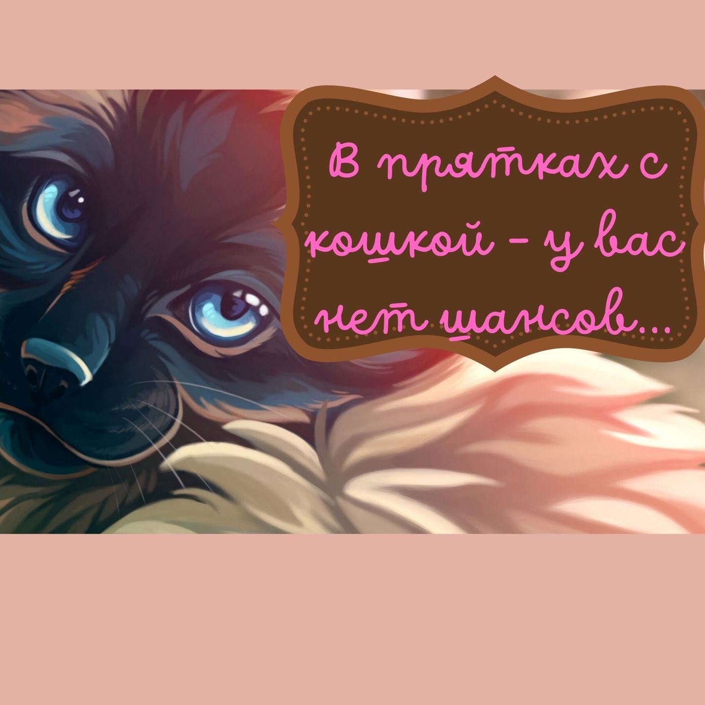 В прятках с кошкой- у вас нет шансов...