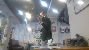 20230911 Чардаш Монти скрипка 🎻 Czardas Monti Csardas Chardash violin Kosta T electricviolin live