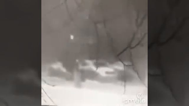 А Зима будет большая / Варвара Визбор/ .../G/... смотреть онлайн