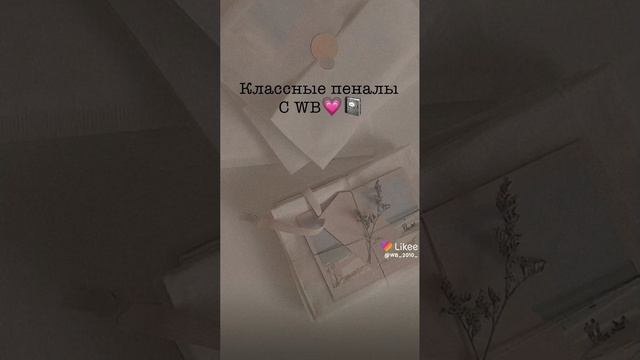 классные пеналы с WB