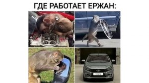 Грандиозная подборка мемов от Макса Максимова