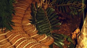 12 Животных, Которые Вымерли к Счастью Человечества