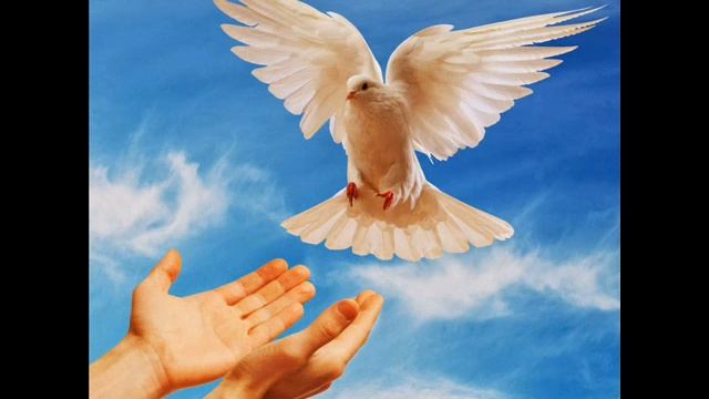 Праздник Победы в селе Сухмень.wmv смотреть онлайн