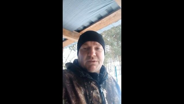 Выращивание дуба из желудя. Стратификация, проращивание, посадка