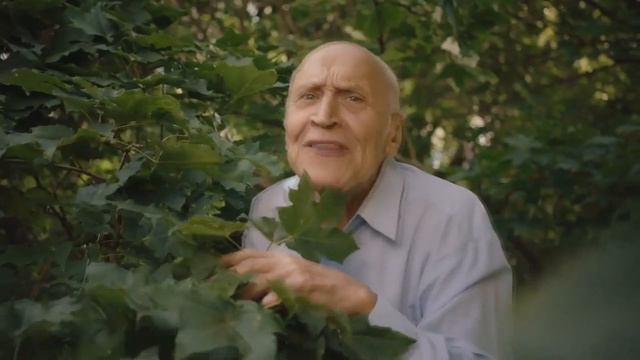 Палка гексагена смотреть онлайн