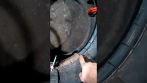 Кразовские ободрыши