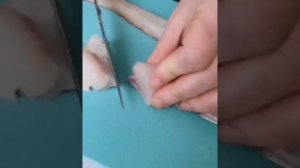 Судак в мешочке со сливочно - чесночным соусом.