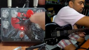 Stomhand Audio Black Corvus  (Gibson Sonex)