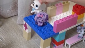 Alisa shows her new toys Littelest Pet Shop / Алиса показывает свои новые игрушки LPS