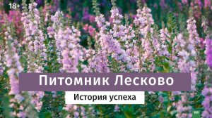 Питомник Лесково. Как выращивают качественные растения.