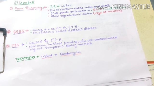 STAPHYLOCOCCUS AUREUS смотреть онлайн