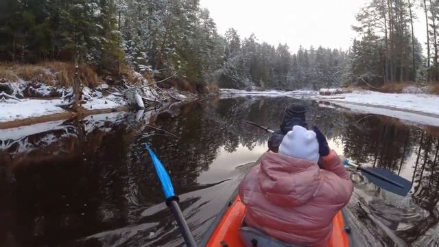 зимняя река Петух. ( приток реки Суда). Вологодская обл.