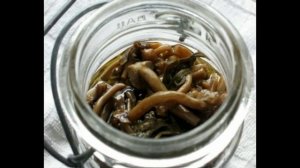 Соленые опята с хреном на зиму