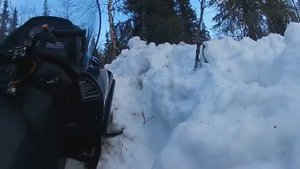 снегоход тайга варяг 500 зарылся