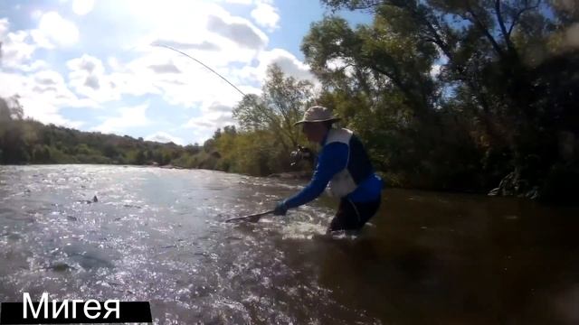 Мигея 23,07,2016 смотреть онлайн