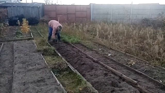 Готовлю грядку для чеснока. 19.10.21. смотреть онлайн
