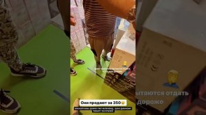 РЫНОК ЛЮБЛИНО , ОБЗОР НА ЦЕНЫ ???? МЫ ПРОДАЕМ ДЕШЕВЛЕ , ЧЕМ ПОСТАЩВИКИ НА РЫНКЕ ?