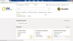 Обзор киви кошелька