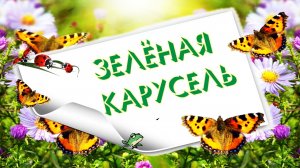 Зеленая карусель.Экологический калейдоскоп