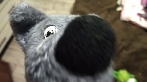 НА ВОЛКА НАПАЛА БАБАЙКА! ОПЯТЬ?? ОНА ВЕРНУЛАСЬ...