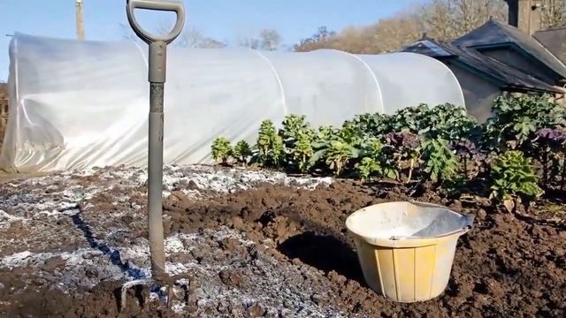 В ладу с природой - 407 - Как бороться с закисленностью почв, утиный клещик, хомяк – враг дачника смотреть онлайн