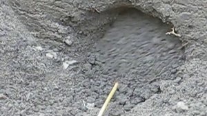 Анонс Самострел для слепыша