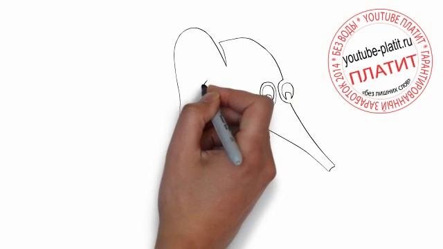 Как нарисовать обыкновенного слона с длинным хоботом и маленьким мозжечком