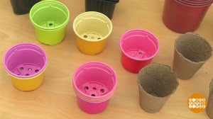 Горшки для рассады: пластмасса или торф? Доброе утро. Фрагмент выпуска от 18.03.2021