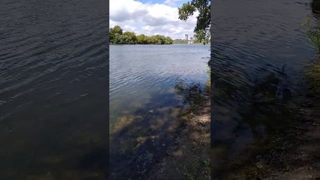 Казань, озеро Средний Кабан. 19 июня 2022г. смотреть онлайн