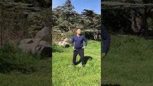 Оздоровительный комплекс "Чаша жизни" (В.П. Гоч, В.В. Чичёв). Вариант исполнения.