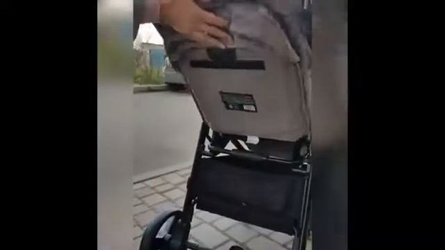 Коляска Carrello Bravo краткий обзор