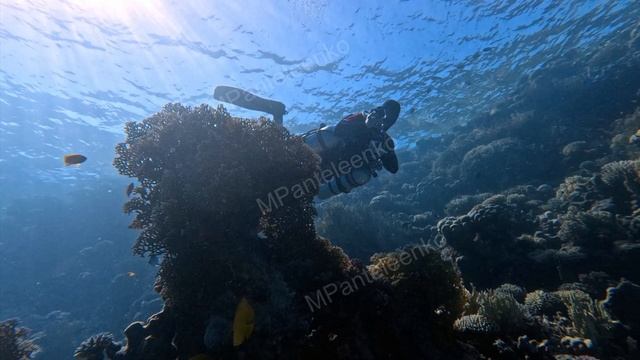 Чем заняться в Дахабе? Дайвинг 11 погружений за 5 дней. смотреть онлайн