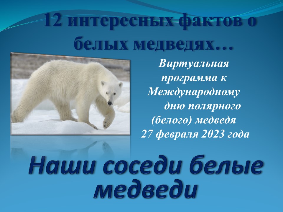 Виртуальная программа «Наши соседи белые медведи»
