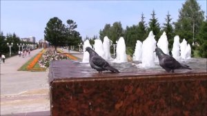 Никольская площадь Новочебоксарск||Новочебоксарск