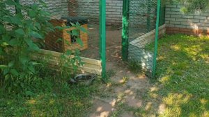 продам дом,калинино 3