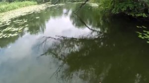 Пісні українські. Хлопці - риболовці. Ukrainian songs