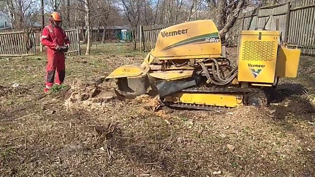 удаление (дробление) пней