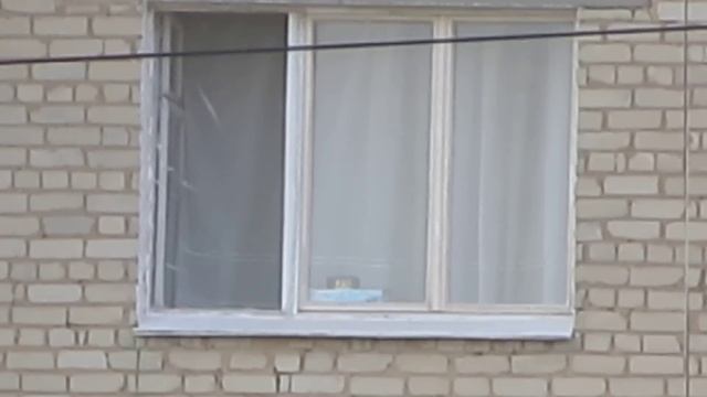 Canon SX 220 HS Zoom video test 14x + 4x = 56x смотреть онлайн