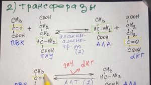 2.Классы ферментов с примерами реакций. Биохимия
