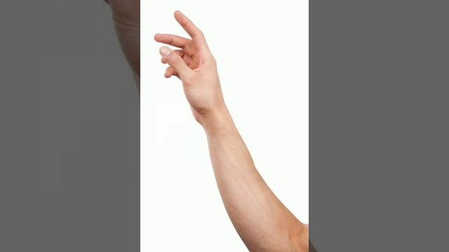 В пальцах руки нет мышц?