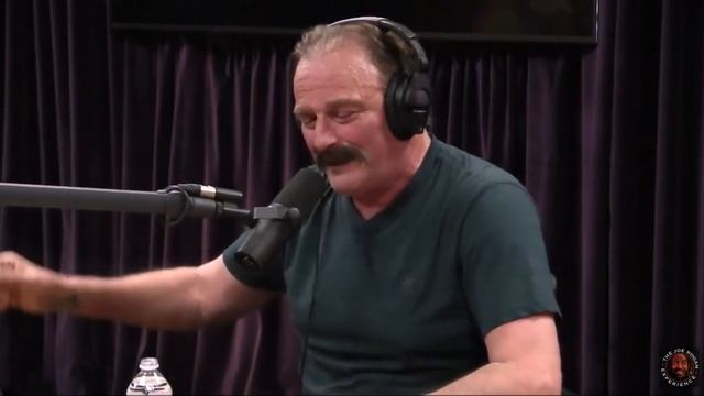 Joe Rogan - Jake "The Snake" Roberts on Unleashing a Cobra on Macho Man смотреть онлайн