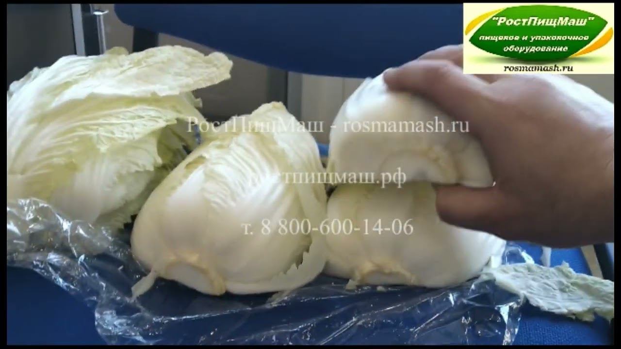 Обзор нарезки Пекинской капусты кубиком (20 на 20мм) от РостПищМаш смотреть онлайн