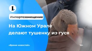Заменит фуа-гра? На Южном Урале делают тушенку из гуся