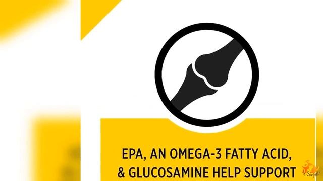 Best Pro Plan BRIGHT MIND Senior 7+ Adult Dog Food Review & Buyer's Guide смотреть онлайн