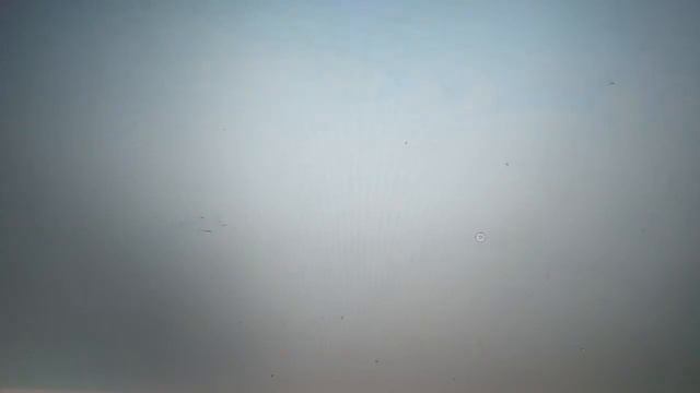 Играем, ловим хвостатых в игре шиндо/шиндо лайф /шиндо лайф 2 /shindo life 🍜 смотреть онлайн