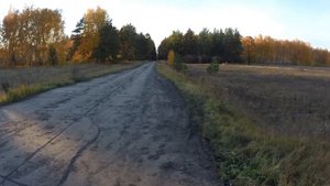 Омская область.Болото Федосово.