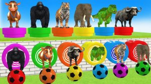 Длинная Слайд-игра Со Слоном, Гориллой, Буйволом, Бегемотом, Тигром - 3d Игра С Животными