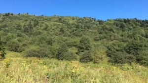 Мезмай. гора Зауда 1540м.