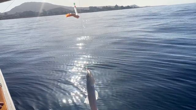 ТЕНЕРИФЕ VLOG: морская рыбалка смотреть онлайн