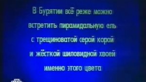 Своя игра. Жданов - Пристинский - Мереминский (24.12.2006)
